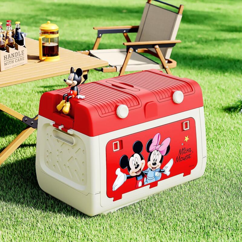 Disney originele geautoriseerd - Outdoor Camping Folding Storage Box recensie en prijs
