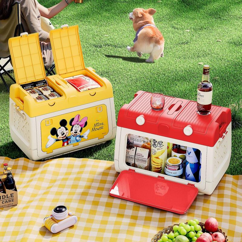 Disney originele geautoriseerd - Outdoor Camping Folding Storage Box recensie en prijs