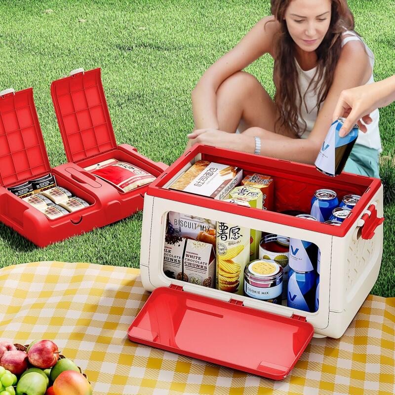 Disney originele geautoriseerd - Outdoor Camping Folding Storage Box recensie en prijs